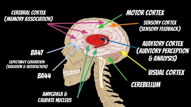 Psychology of music